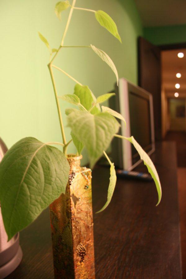 Hotel Evaline รีกา ภายนอก รูปภาพ